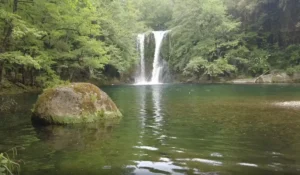 gorga de santa margarida