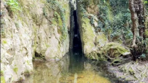 gorgs de salenys
