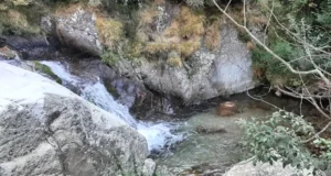 salt-del-cossi-den-batllo